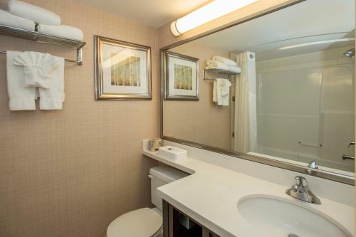 Hotel Holiday Inn Conference Centre Edmonton South
