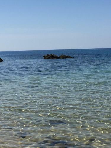 La Casa Sotto La Torre