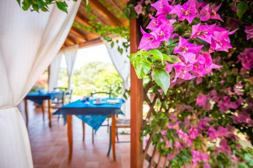 B&B La Vela Chia