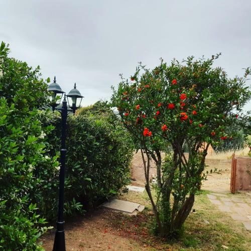 Viale Aquilone 10 Chia Loc. Spartivento