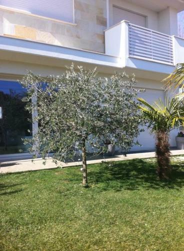Bed & Breakfast Mal De M�r