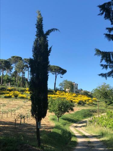 Podere La Cava