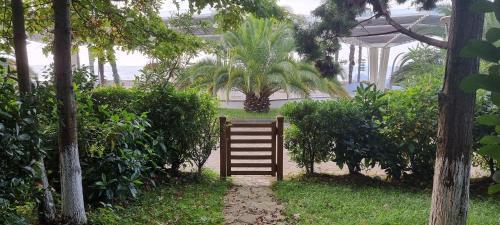 Apartamento Dreamland Oasis Chakvi
