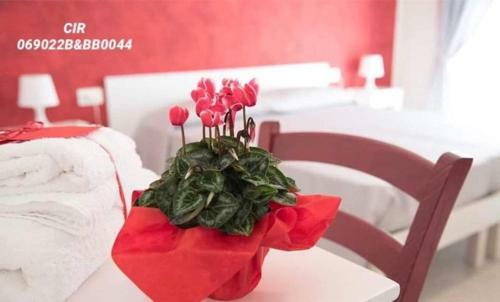 Bed & Breakfast Angolo Di Paradiso