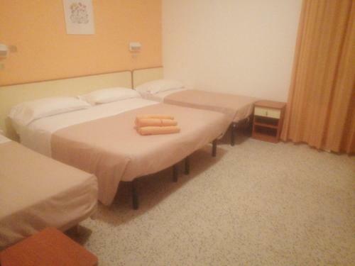 Bed & Breakfast Elisabetta Frontemare