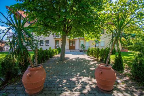 Adam Apartman