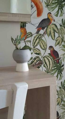 Apartamento Nissi Collection Rooms