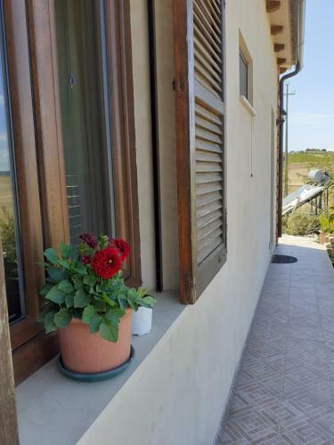 Apartamento Agriturismo Enjoy Sunset