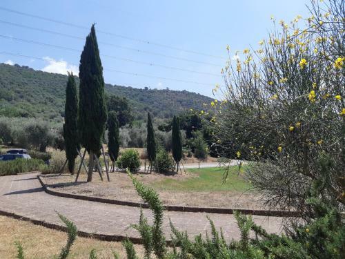 Apartamento Podere Erba Appartamento Con Piscina