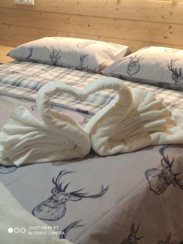 Hostal Chalet Lodge Margherita