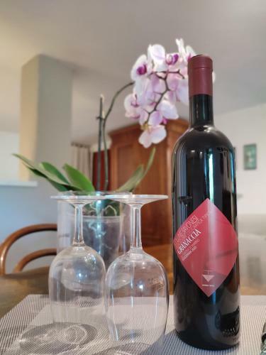 Independent Apartment With A Fabulous Patio - Casa Penny