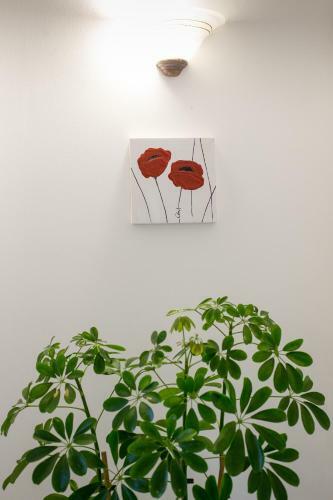Apartamento B&B Le Grotte