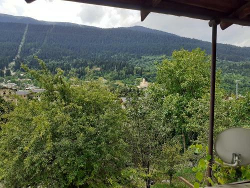 Hostal Guesthouse Mari Mestia