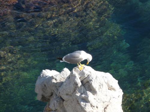 Apartamento Casalmare