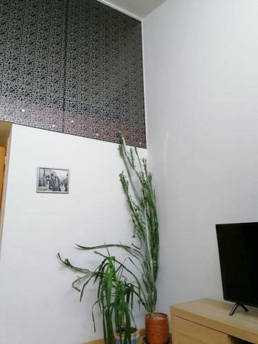 Apartamento Glass Flat Kaunas