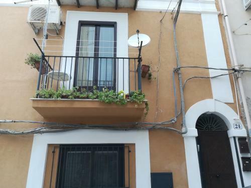 Apartamento Amendola24