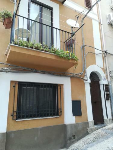 Apartamento Amendola24