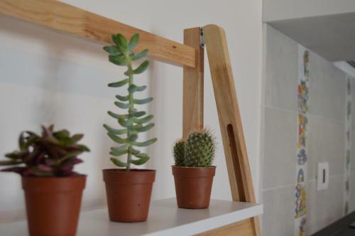 Mag 13 Apartment Cefal�
