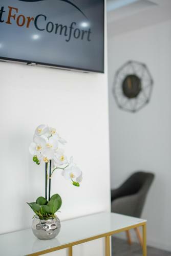 Apartamento Charming Studio Close To The Center