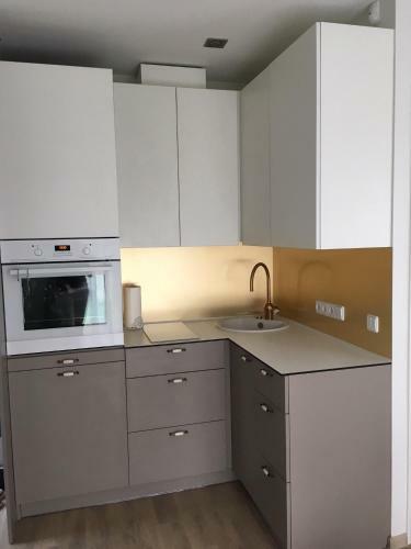 Apartamento Vaivoryk?t? Sl