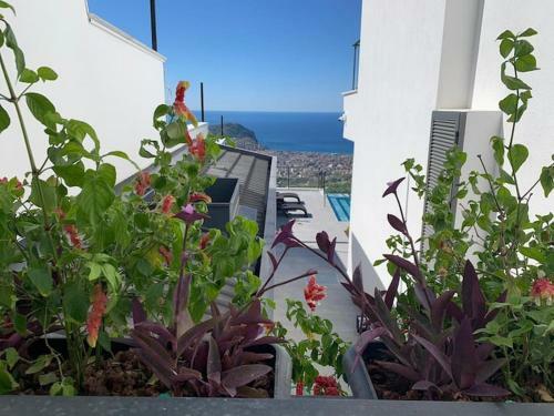 Villa Az