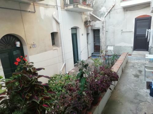 Domus Casa Vacanza Cefal�