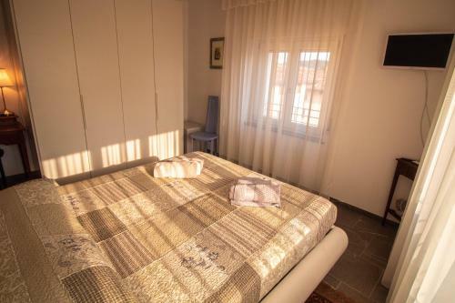 Hostal Bed Adelaide