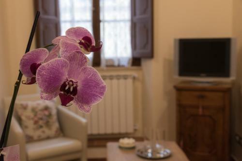 Apartamento Casa Virginia