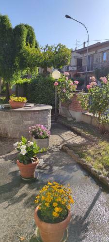 Maranzano 90