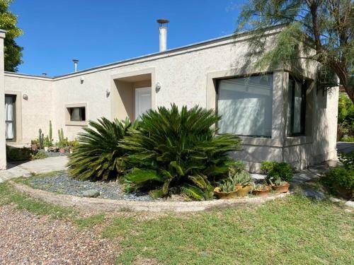 La Casa Del Buen Sol Y Los Olivos