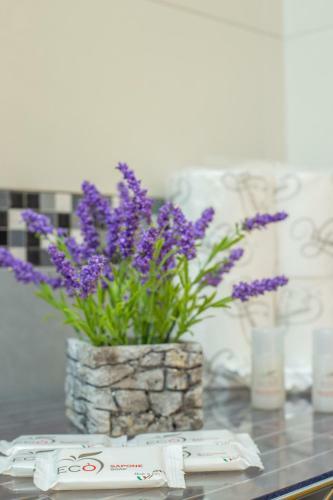 Casa Vacanze Dei Bacini