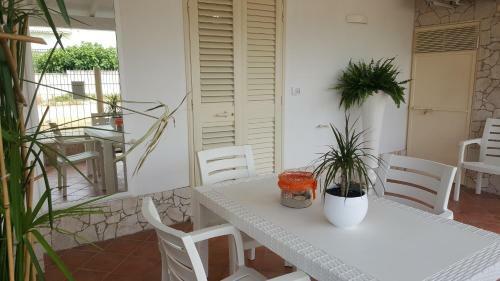 Apartamento Casina Cucci