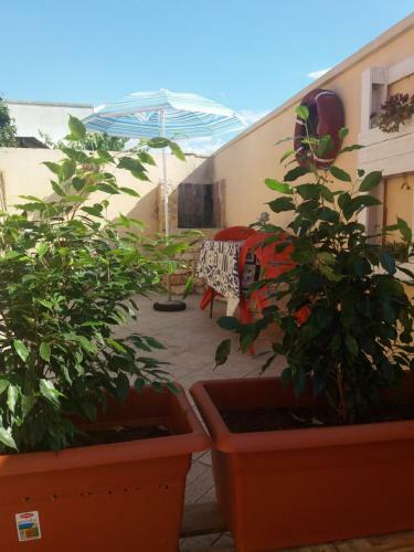 Hostal Casa Delle Rose