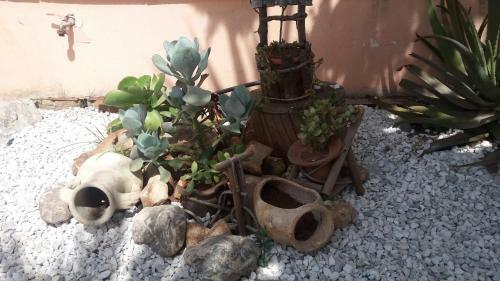 Hostal Casa Delle Rose