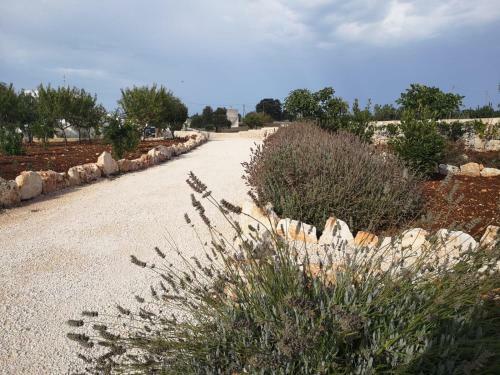 Apartamento Dimora Verde B Con Trullo Masseria Poesia
