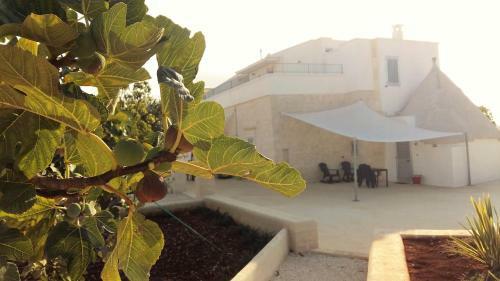 Apartamento Dimora Verde B Con Trullo Masseria Poesia