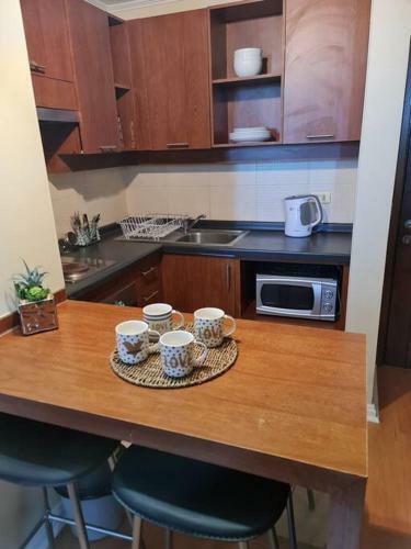 Apartamento Amoblado Concepcion