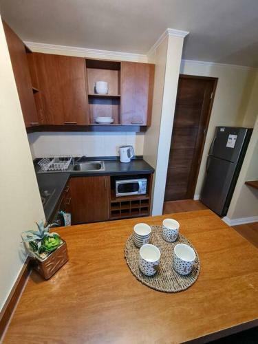 Apartamento Amoblado Concepcion