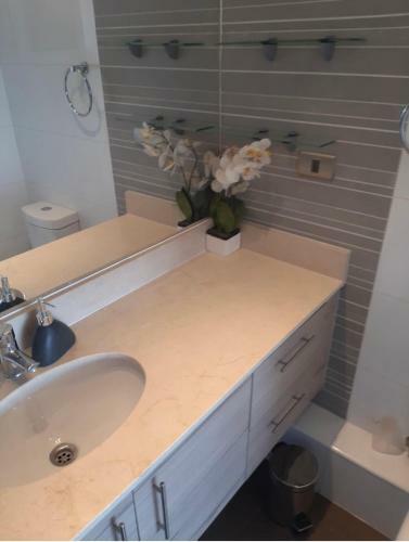 Apartamento Conc�n Imperdible