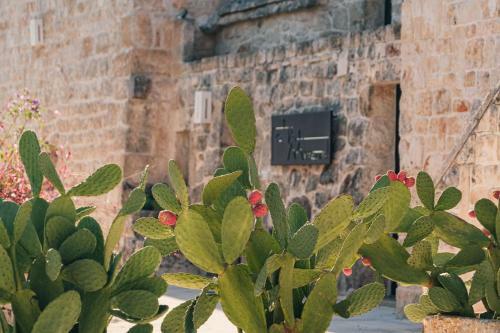 Villa Masseria Minetta Complex