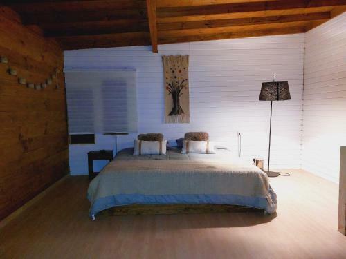 Caba�a Auquinco Lago Ranco