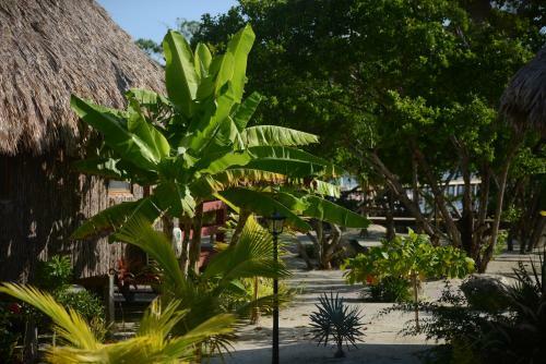 Hotel El Ben Caba�as