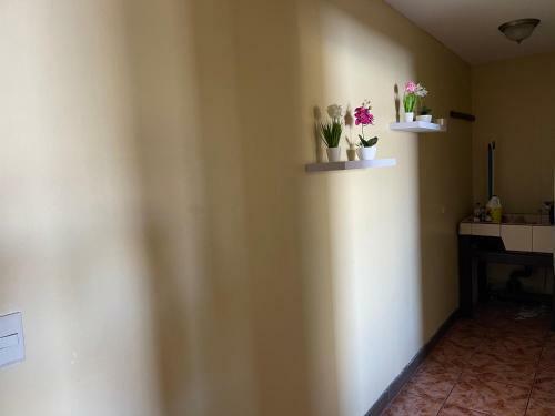 Apartamentos Jf #1