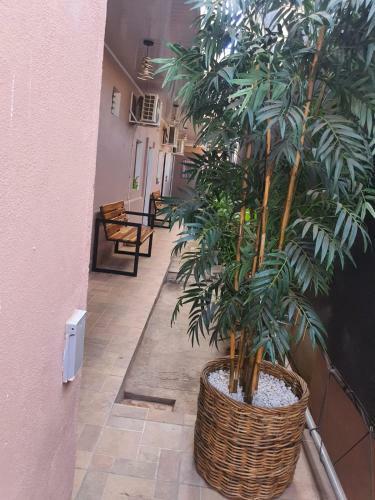 Apartamento Hostal San Carlos