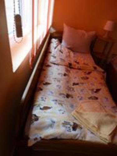 Hostal Salmina House
