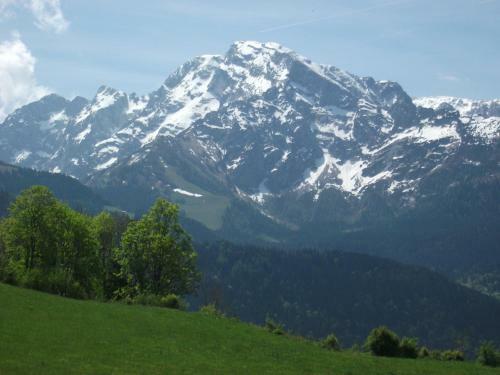 Apartamento Ferienwohnungen G�stehaus L�rcheck