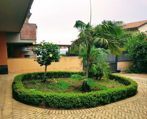 Apartamento Sandel Home