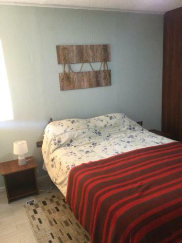 Apartamento Caba�a En Carretera Austral