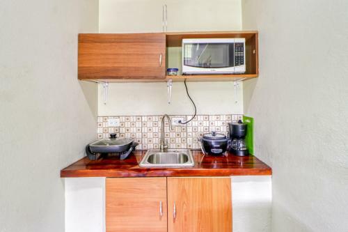 Villa Arenal Dreams