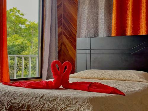 Apartamento Cabinas Selva Verde